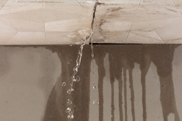 Professional Burst Pipe Cleanup technician working in Talladega, AL